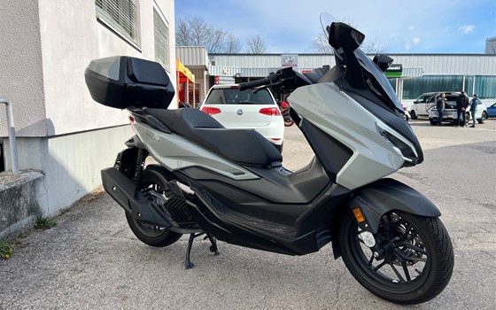 Gebrauchtmotorrad Honda Forza 125 - Bild 2