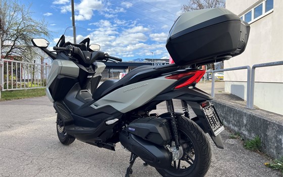 Gebrauchtmotorrad Honda Forza 125 - Bild 5