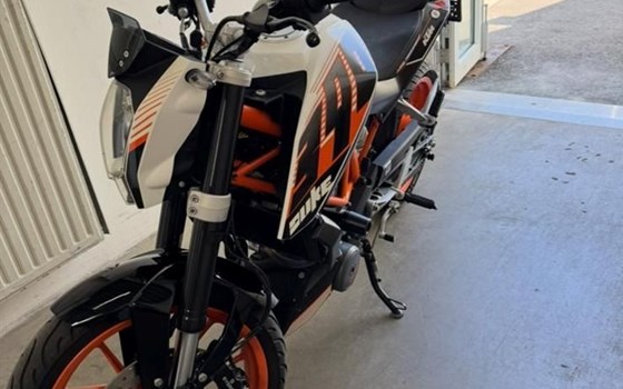 Gebrauchtmotorrad KTM 390 Duke - Bild 1