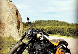 Gebrauchte Harley-Davidson Softail Slim S