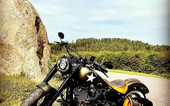 Gebrauchtmotorrad Harley-Davidson Softail Slim S - Bild 1