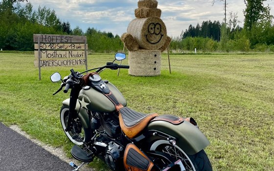 Gebrauchtmotorrad Harley-Davidson Softail Slim S - Bild 3