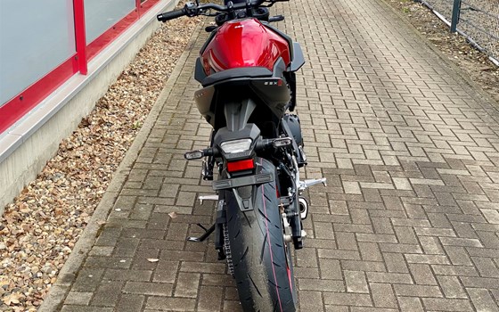 Neufahrzeug Suzuki GSX-8S - Bild 8