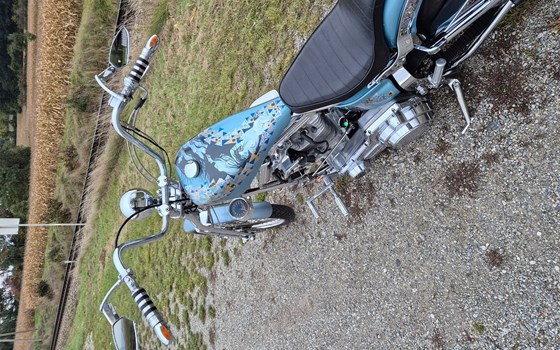 Gebrauchtmotorrad Harley-Davidson Softail Springer 1350 Evolution - Bild 5