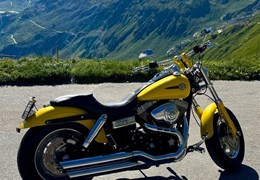 Occasion Harley-Davidson Dyna Fat Bob FXDF