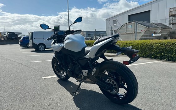 Neufahrzeug Kawasaki Z650 - Bild 5