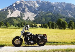 Gebrauchte Harley-Davidson Sportster XL 1200CB