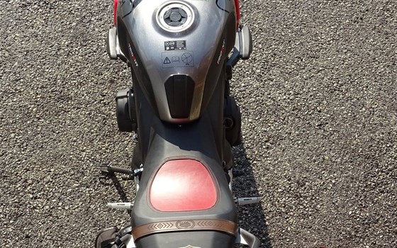 Gebrauchtmotorrad Triumph Trident 660 - Bild 2