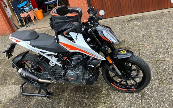 Gebrauchtmotorrad KTM 390 Duke - Bild 3