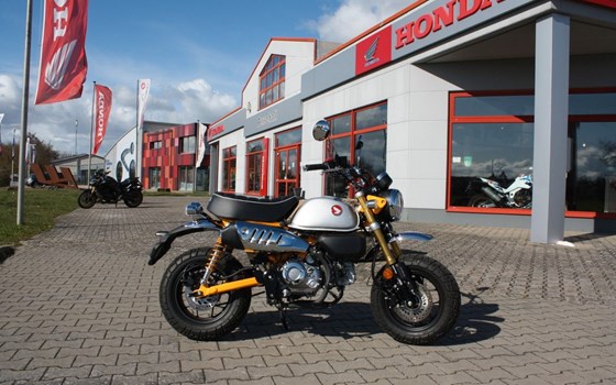 Gebrauchtmotorrad Honda Monkey 125 - Bild 4