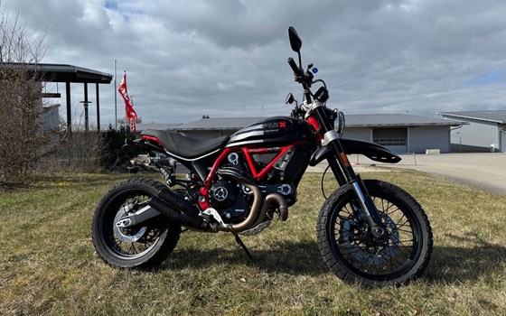 Gebrauchtmotorrad Ducati Scrambler Desert Sled - Bild 1
