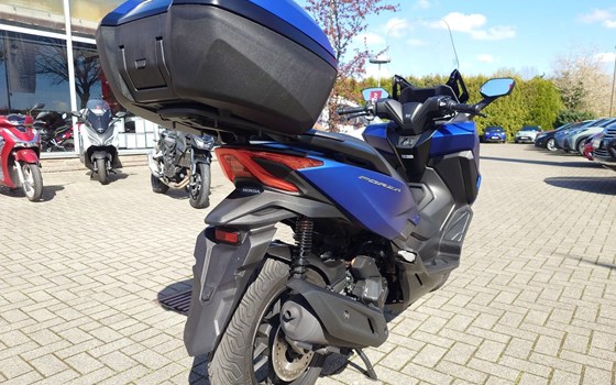 Gebrauchtmotorrad Honda Forza 125 - Bild 10