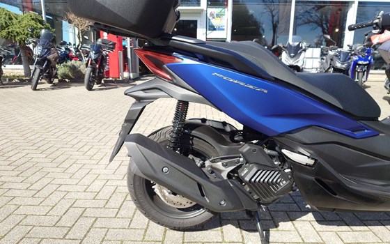 Gebrauchtmotorrad Honda Forza 125 - Bild 2