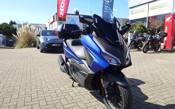 Gebrauchtmotorrad Honda Forza 125 - Bild 4