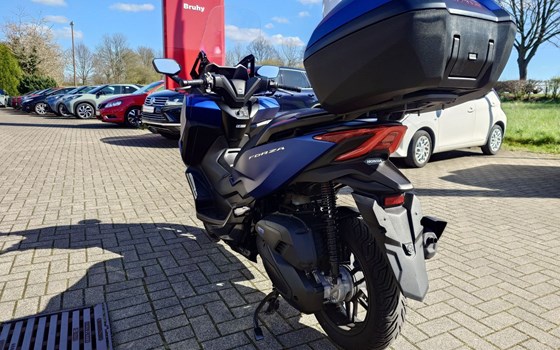 Gebrauchtmotorrad Honda Forza 125 - Bild 9