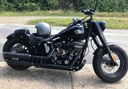 Gebrauchte Harley-Davidson Softail Slim S