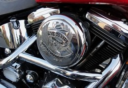 Gebrauchte Harley-Davidson Fat Boy 117