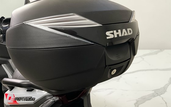 Gebrauchtmotorrad QJ Motor Fort 4.0 - Bild 3