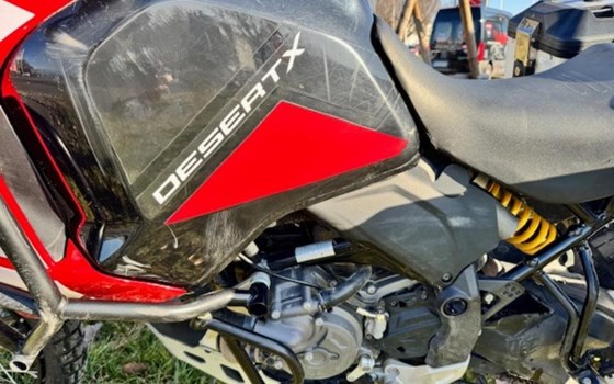 Gebrauchtmotorrad Ducati DesertX Discovery - Bild 6