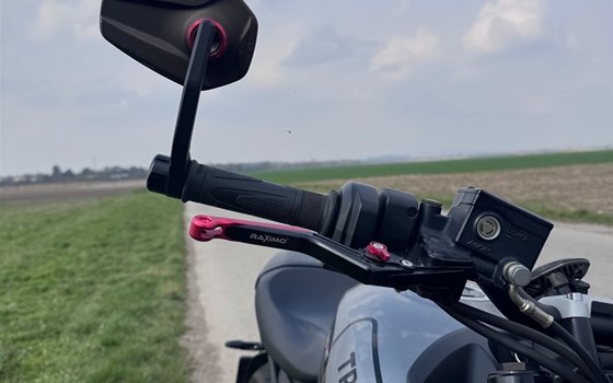 Gebrauchtmotorrad Triumph Trident 660 - Bild 6