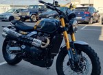 Angebot Triumph Scrambler 900