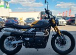 Angebot Triumph Scrambler 900
