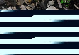 Neumotorrad Peugeot Kisbee 100