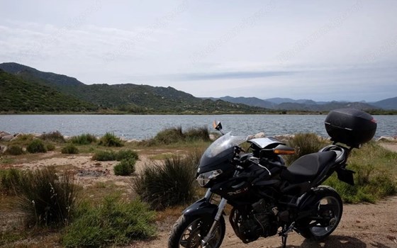 Gebrauchtmotorrad Benelli Tre-K 899 - Bild 2