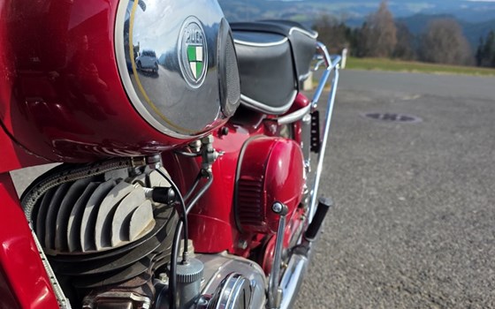 Gebrauchtmotorrad Puch 250 SGS - Bild 5