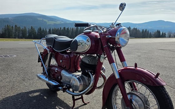 Gebrauchtmotorrad Puch 250 SGS - Bild 2