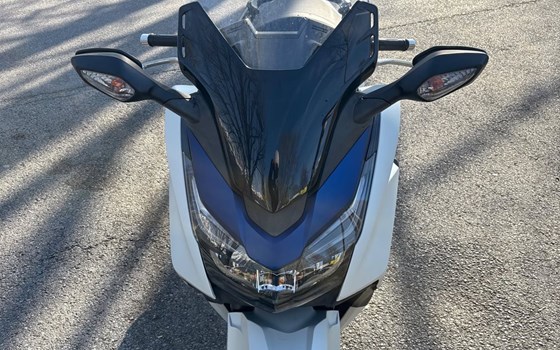 Gebrauchtmotorrad Honda Forza 125 - Bild 3