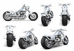 Gebrauchte Harley-Davidson Softail Custom FXSTC