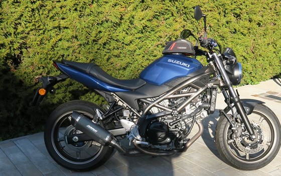Motorrad Occasion Suzuki SV650 - Bild 1
