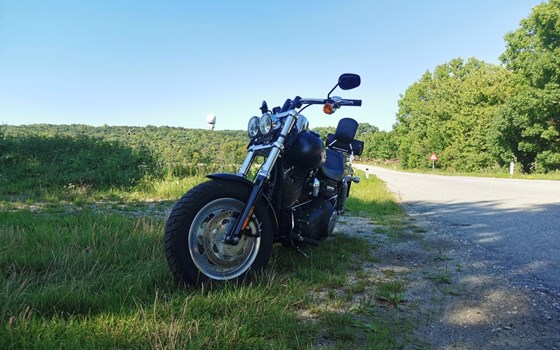 Gebrauchtmotorrad Harley-Davidson Dyna Fat Bob FXDF - Bild 12