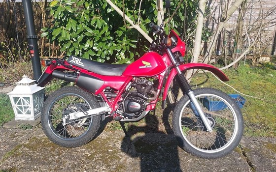 Gebrauchtmotorrad Honda XL 250 - Bild 1