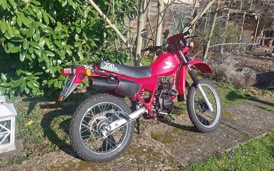 Gebrauchtmotorrad Honda XL 250 - Bild 2