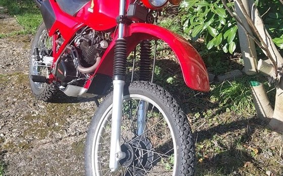 Gebrauchtmotorrad Honda XL 250 - Bild 4