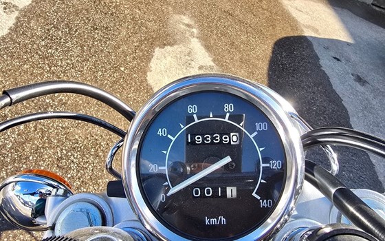 Gebrauchtmotorrad Yamaha XV 250 Virago - Bild 2