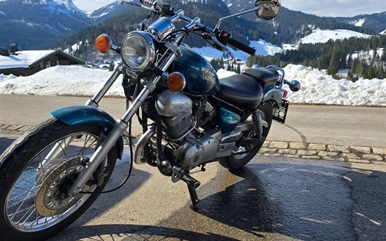 Gebrauchtmotorrad Yamaha XV 250 Virago - Bild 6