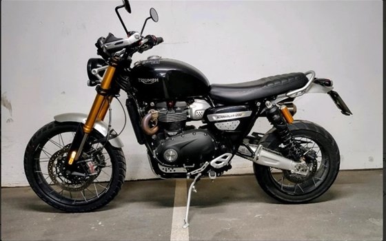 Gebrauchtmotorrad Triumph Scrambler 1200 XE - Bild 2