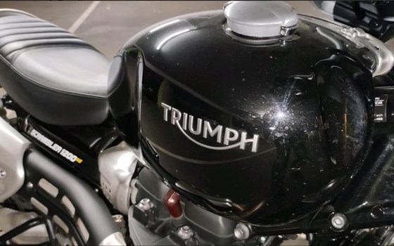 Gebrauchtmotorrad Triumph Scrambler 1200 XE - Bild 6