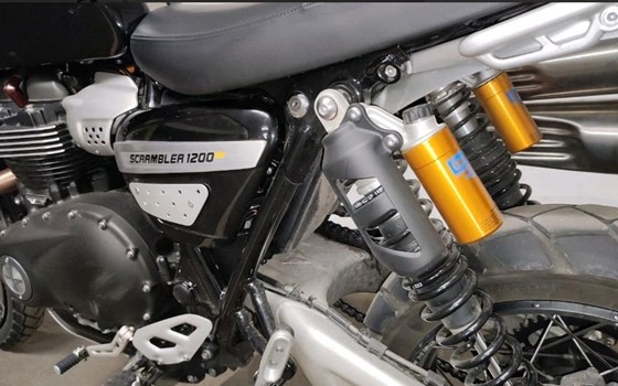 Gebrauchtmotorrad Triumph Scrambler 1200 XE - Bild 8
