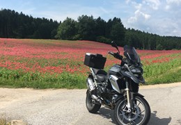 Gebrauchte BMW R 1200 GS
