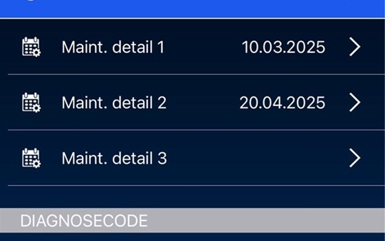 Gebrauchtmotorrad Yamaha YZ250F - Bild 3