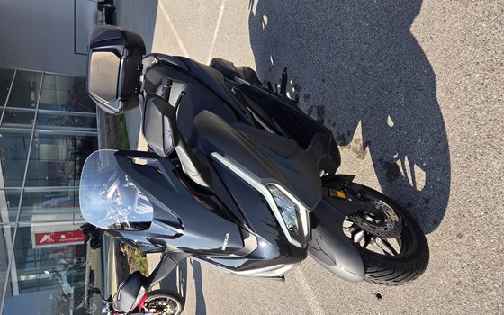 Gebrauchtmotorrad Honda Forza 125 - Bild 2