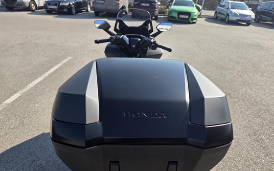 Gebrauchtmotorrad Honda Forza 125 - Bild 5