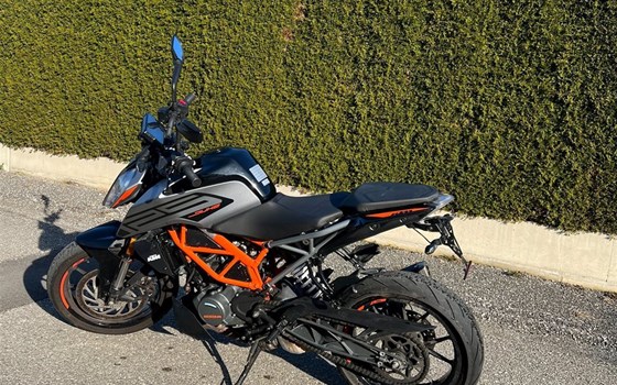 Gebrauchtmotorrad KTM 125 Duke - Bild 4