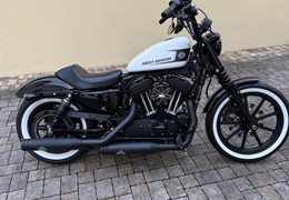 Gebrauchte Harley-Davidson Sportster XL 1200NS Iron