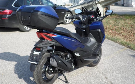 Gebrauchtmotorrad Honda Forza 350 - Bild 3