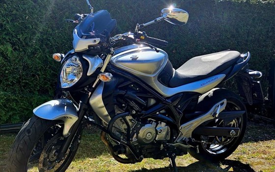 Gebrauchtmotorrad Suzuki SFV 650 Gladius - Bild 1